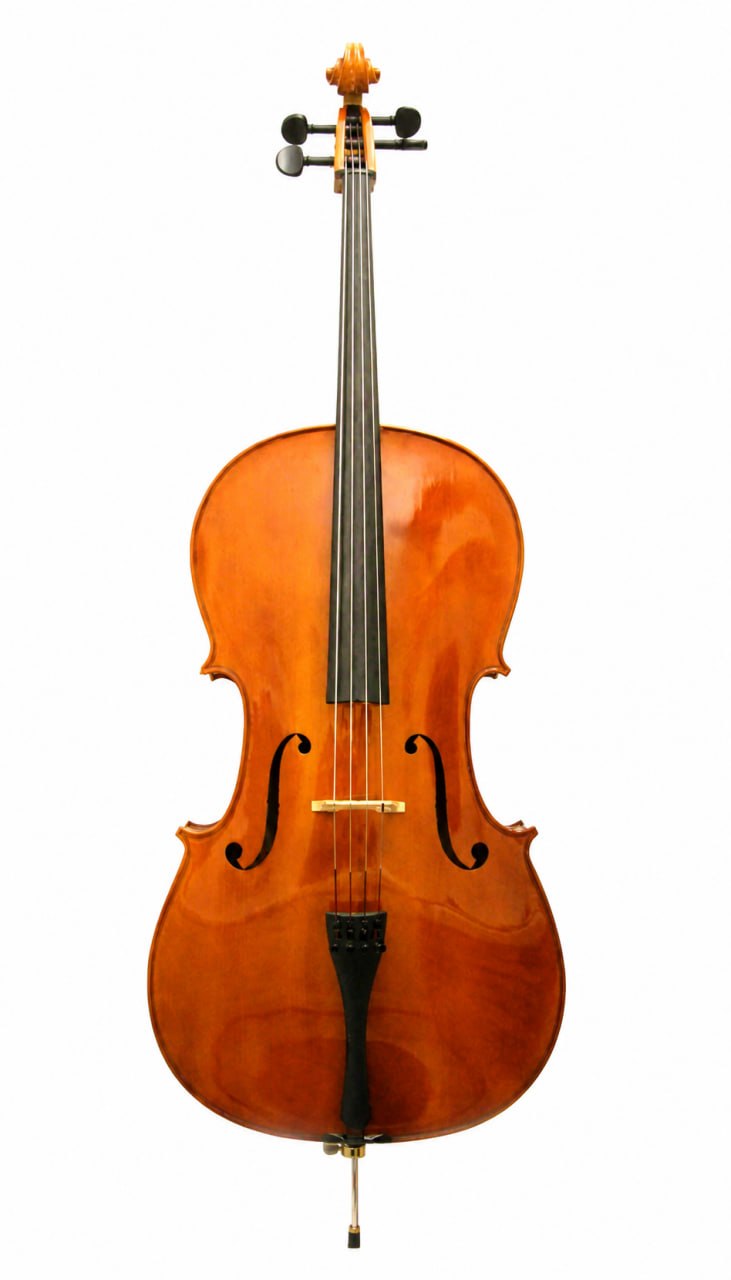 A cello, the instrument played by murder victim Karin in Victim Impact by Mel Bradshaw